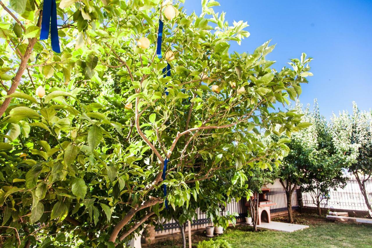 Garden House Near The Sea Apartment Kavála Ngoại thất bức ảnh